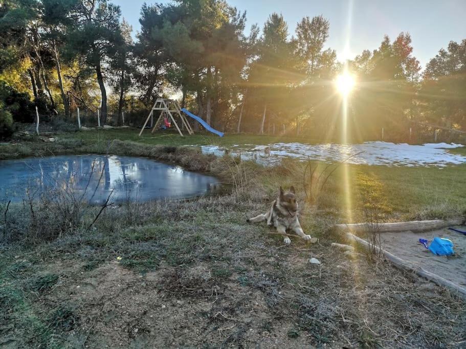 Mas Del Olivar La Portellada 외부 사진
