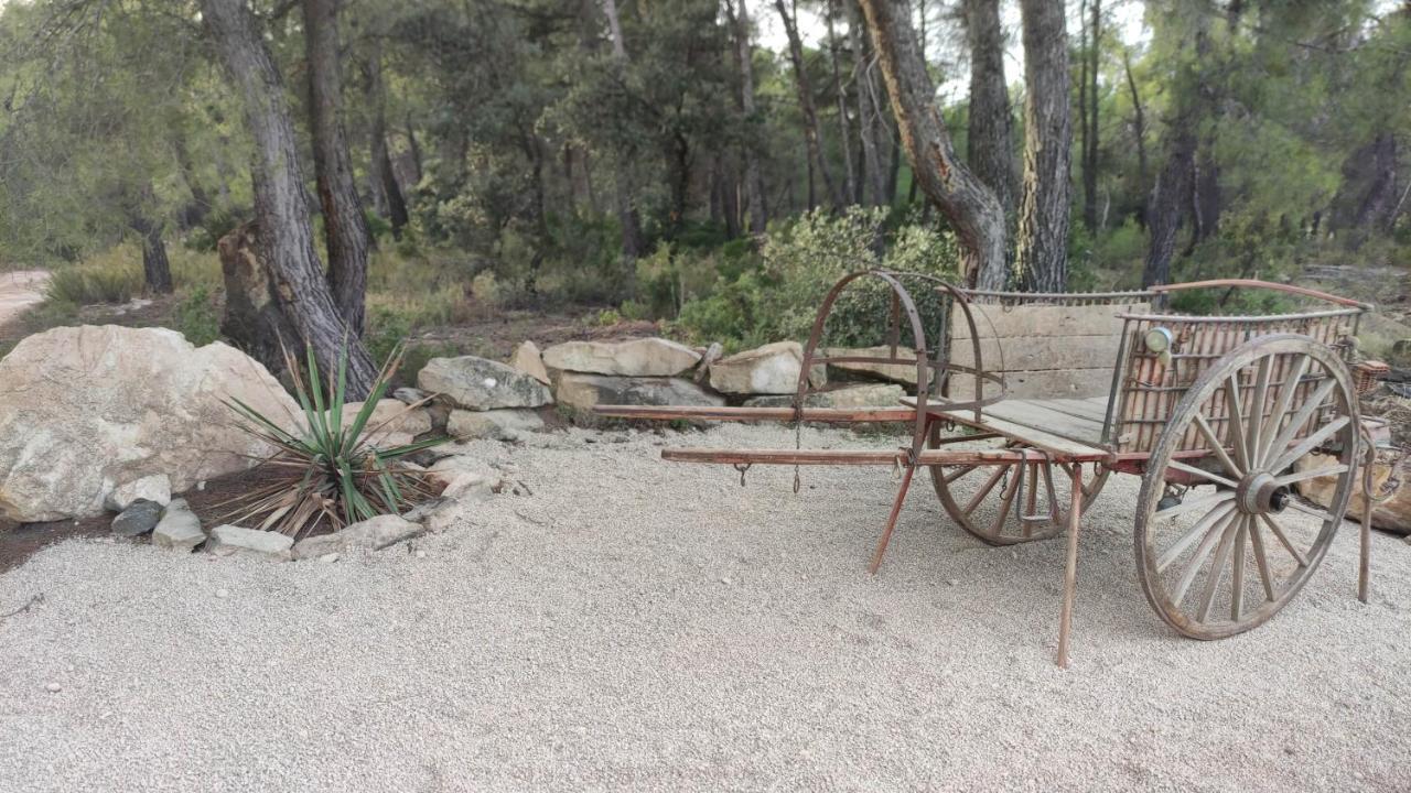 Mas Del Olivar La Portellada 외부 사진